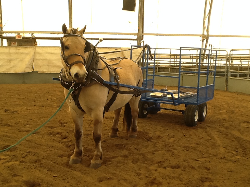 Windy Ridge Riders Association
